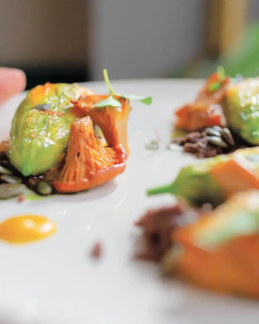 Cactus Kitchen Milano