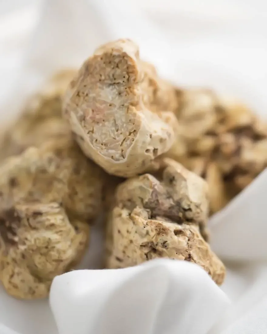 Tartufo Bianco Milano
