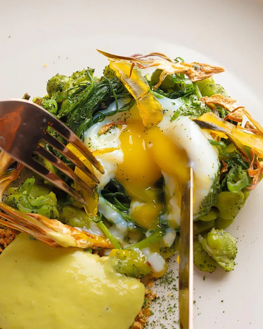 Eggs of Quality, From the Land to the Plate