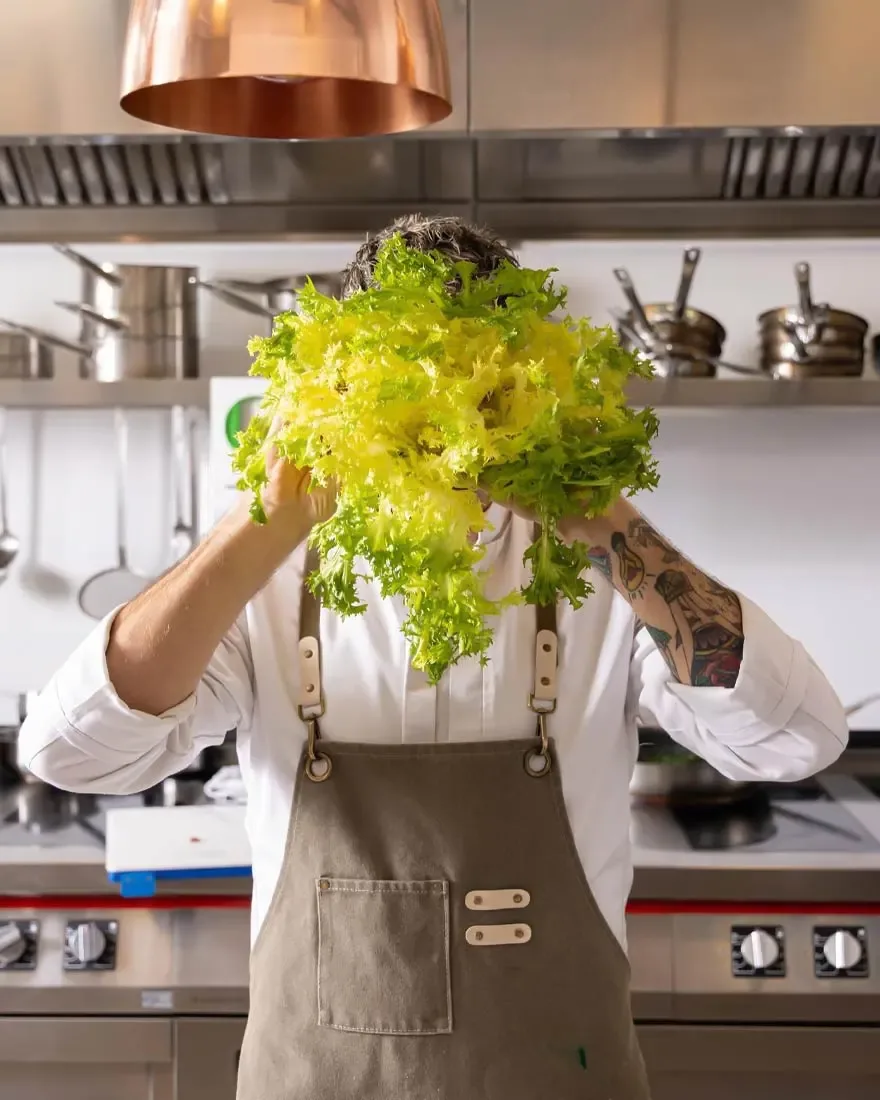 Cactus verdure fresche