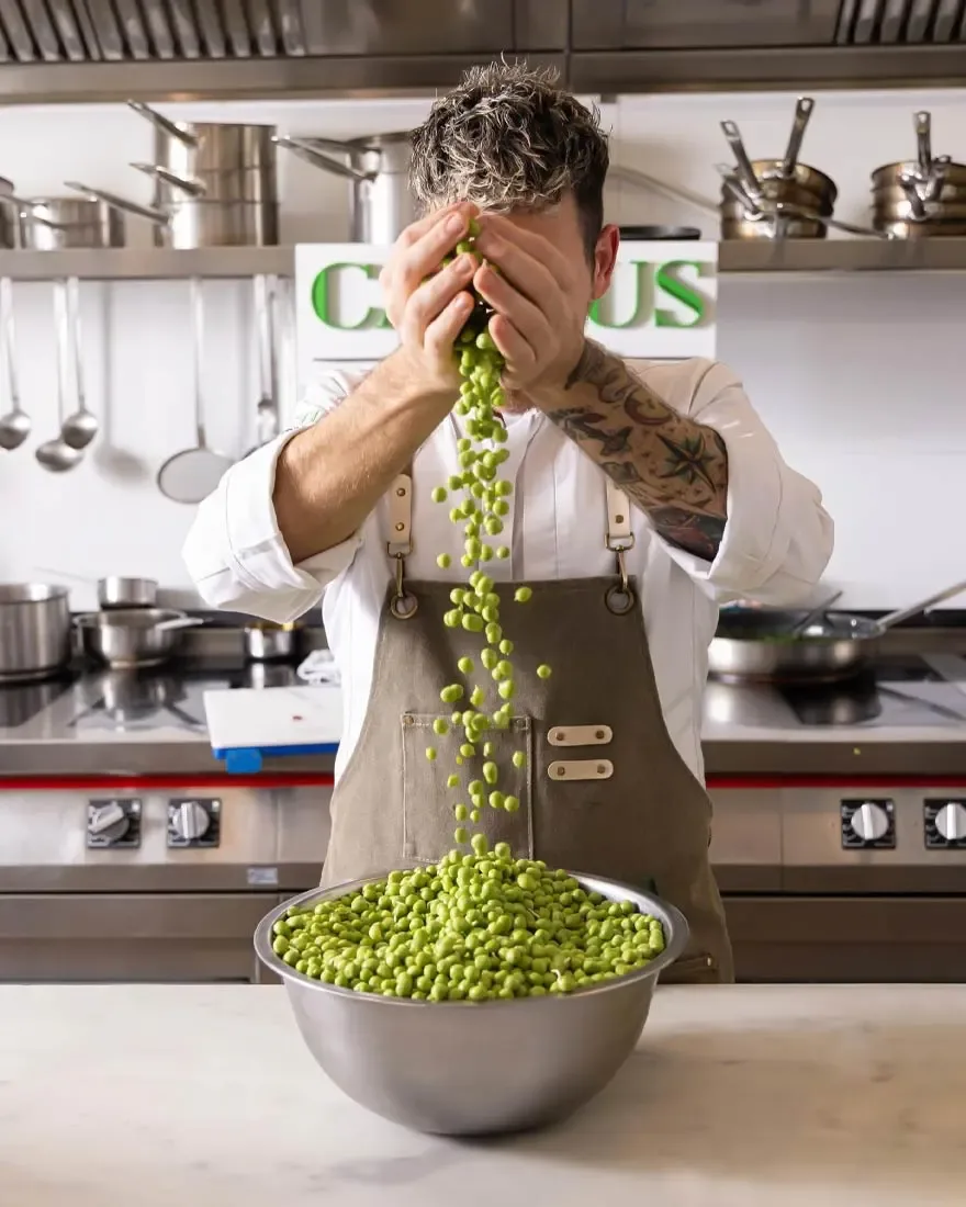 Cactus verdure di stagione