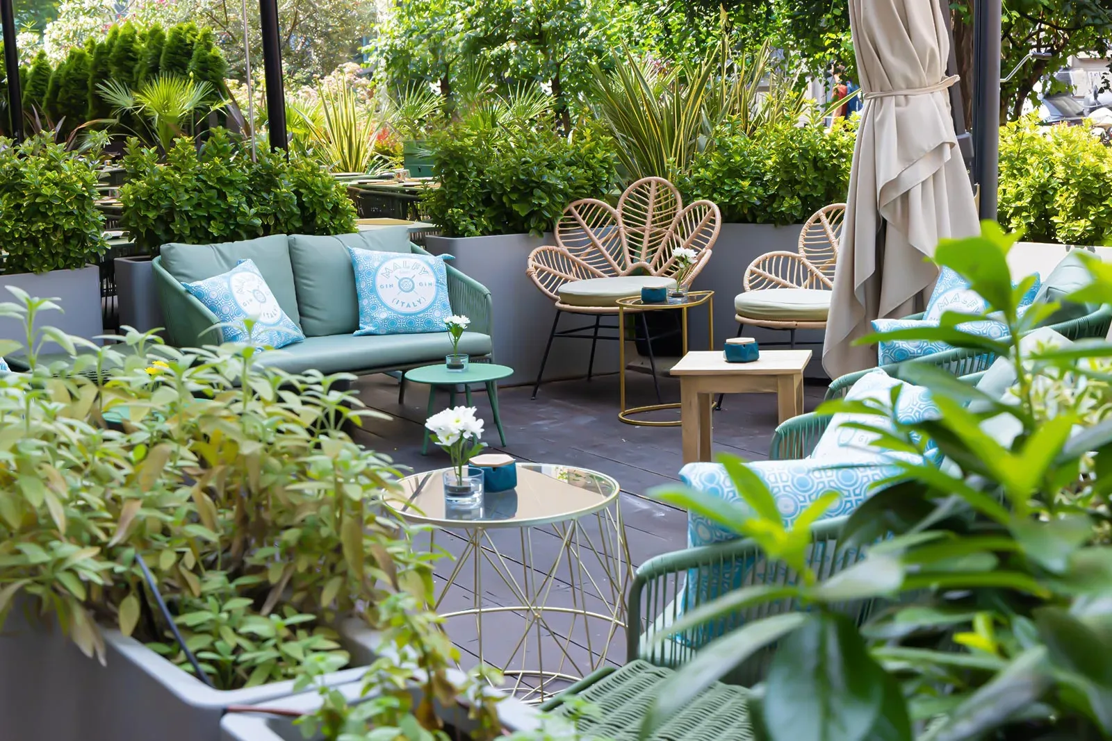 Location Cactus Milano