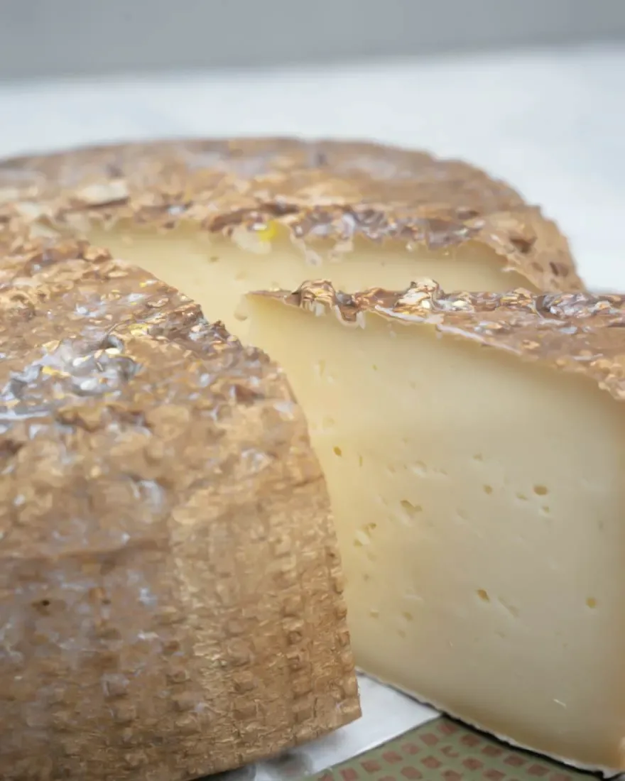 Formaggi freschi