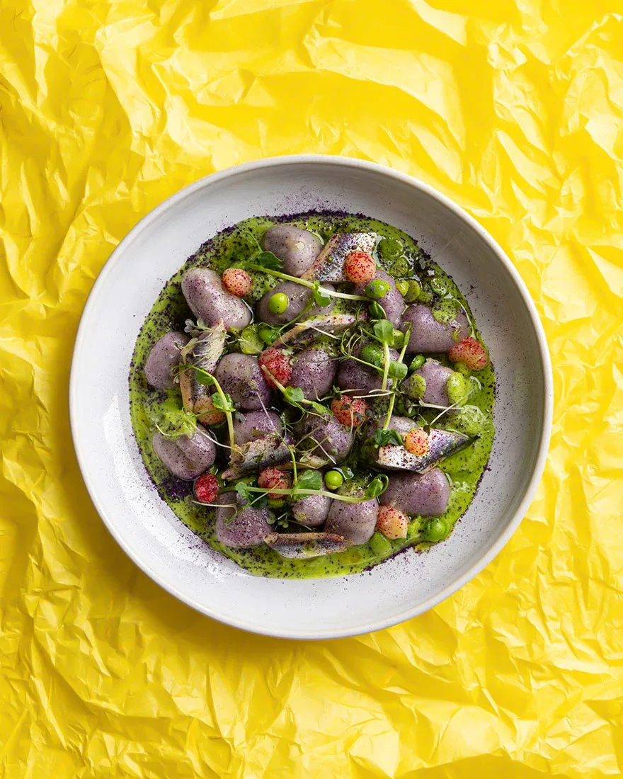 Discover the Creativity of Cactus Milano