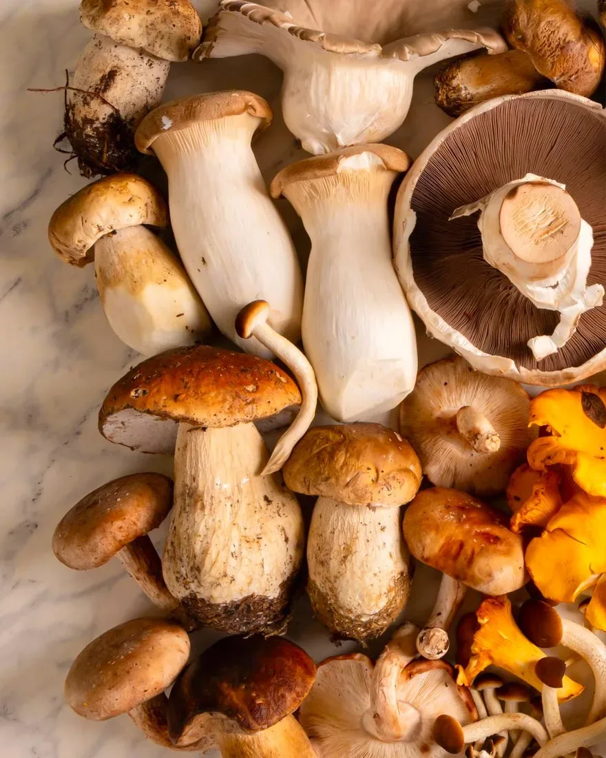 The Mushrooms Have Arrived!