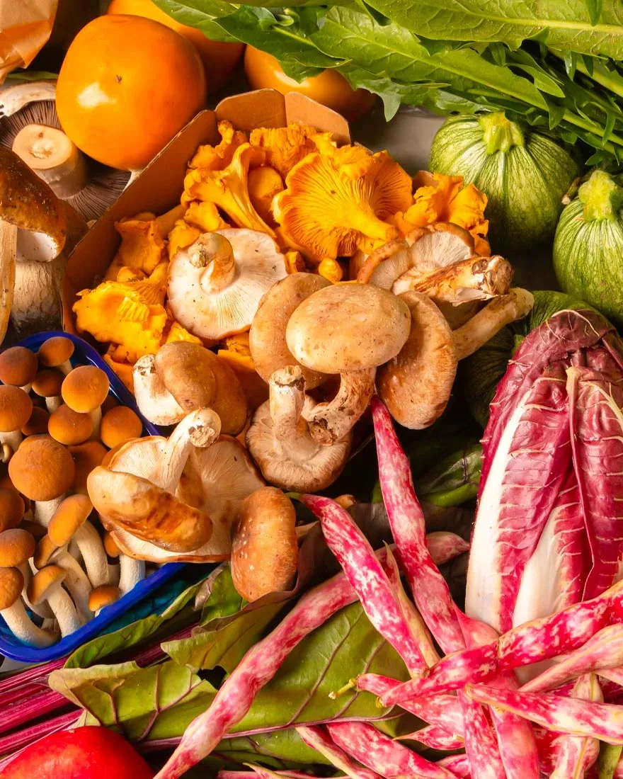 The Mushrooms Have Arrived!