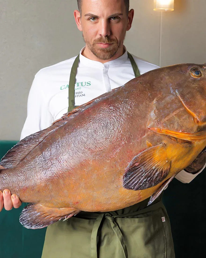 Mangiare pesce fresco a milano