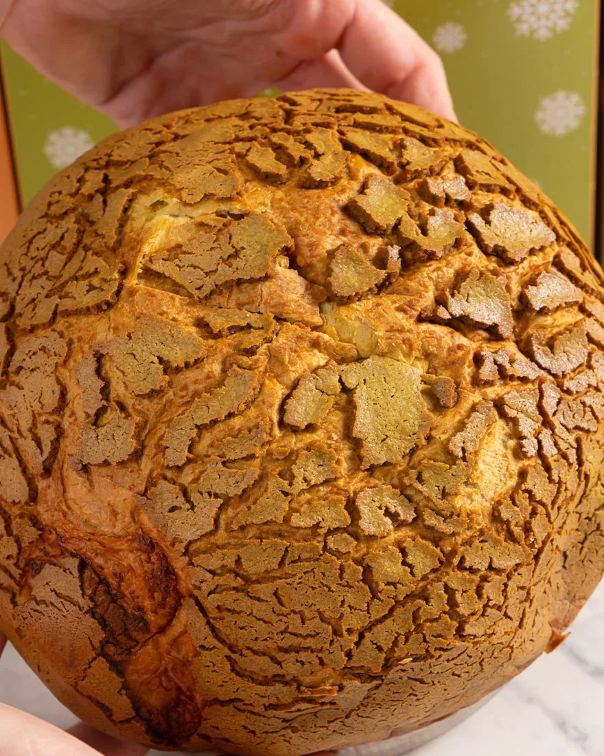 panettone artigianale milano cactus lab