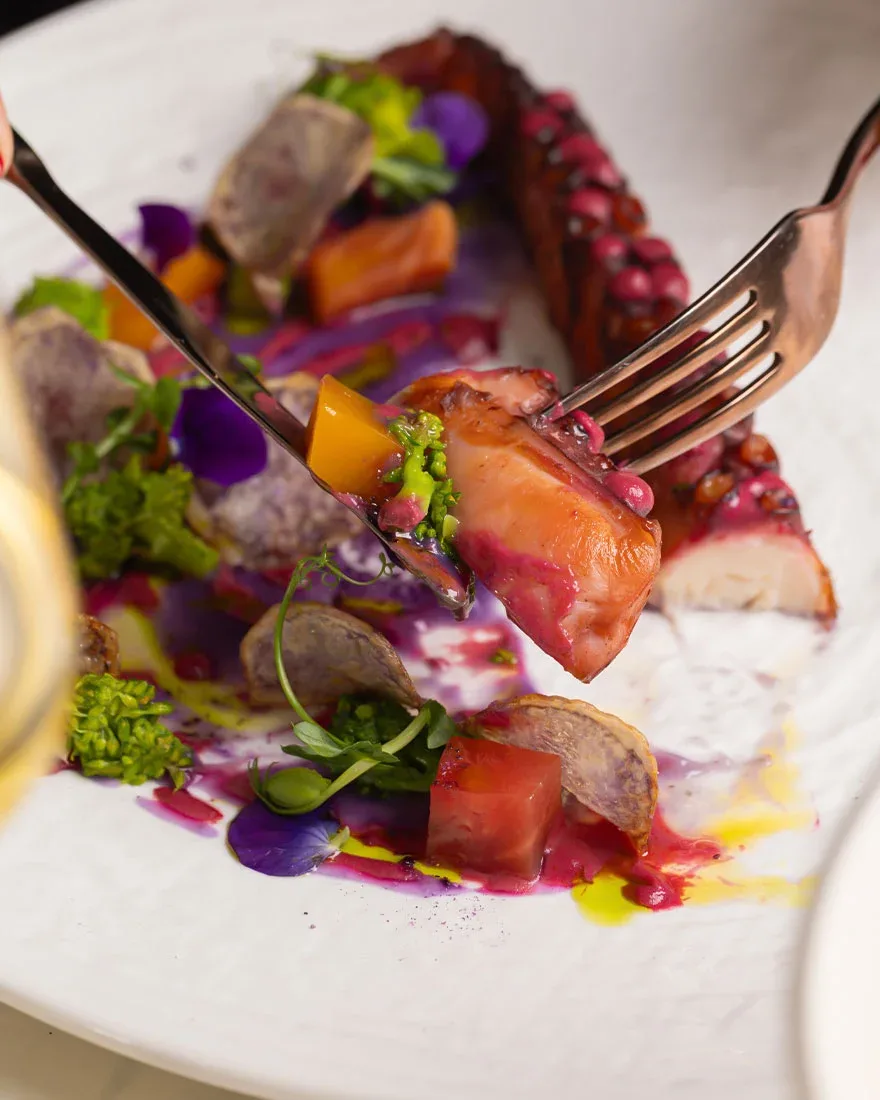 polpo del Mediterraneo mangiare pesce milano