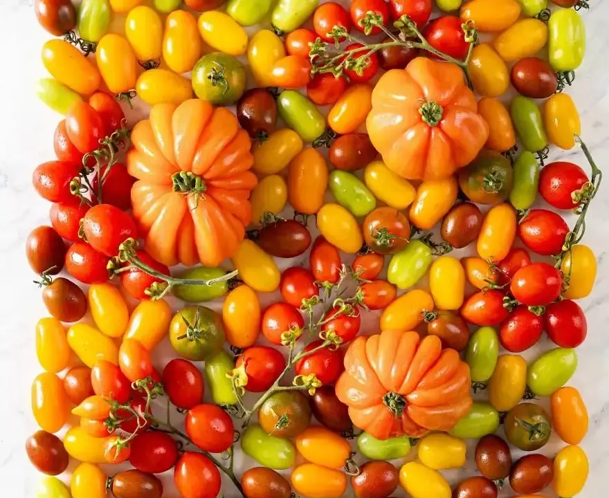 Pomodori freschi a Milano