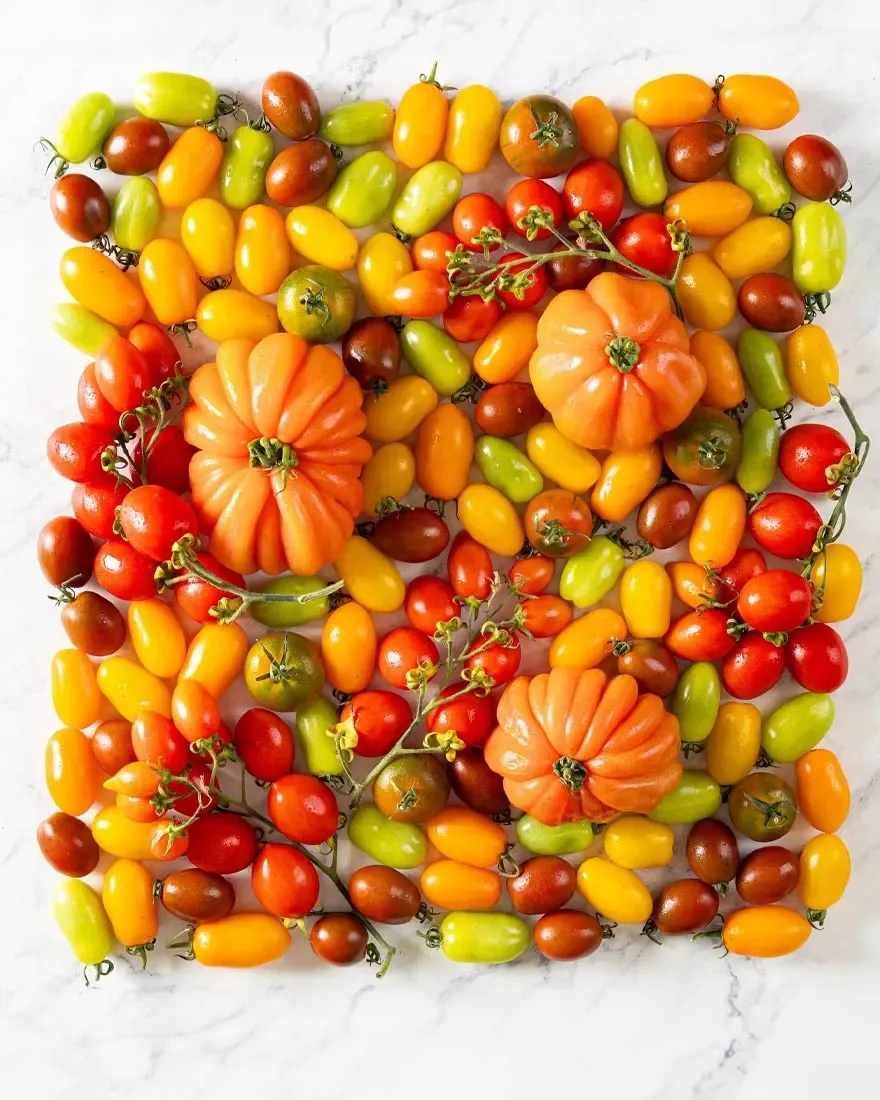 Tomatoes in Milan