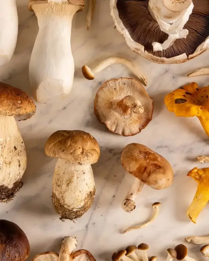 Porcini e Funghi a Milano