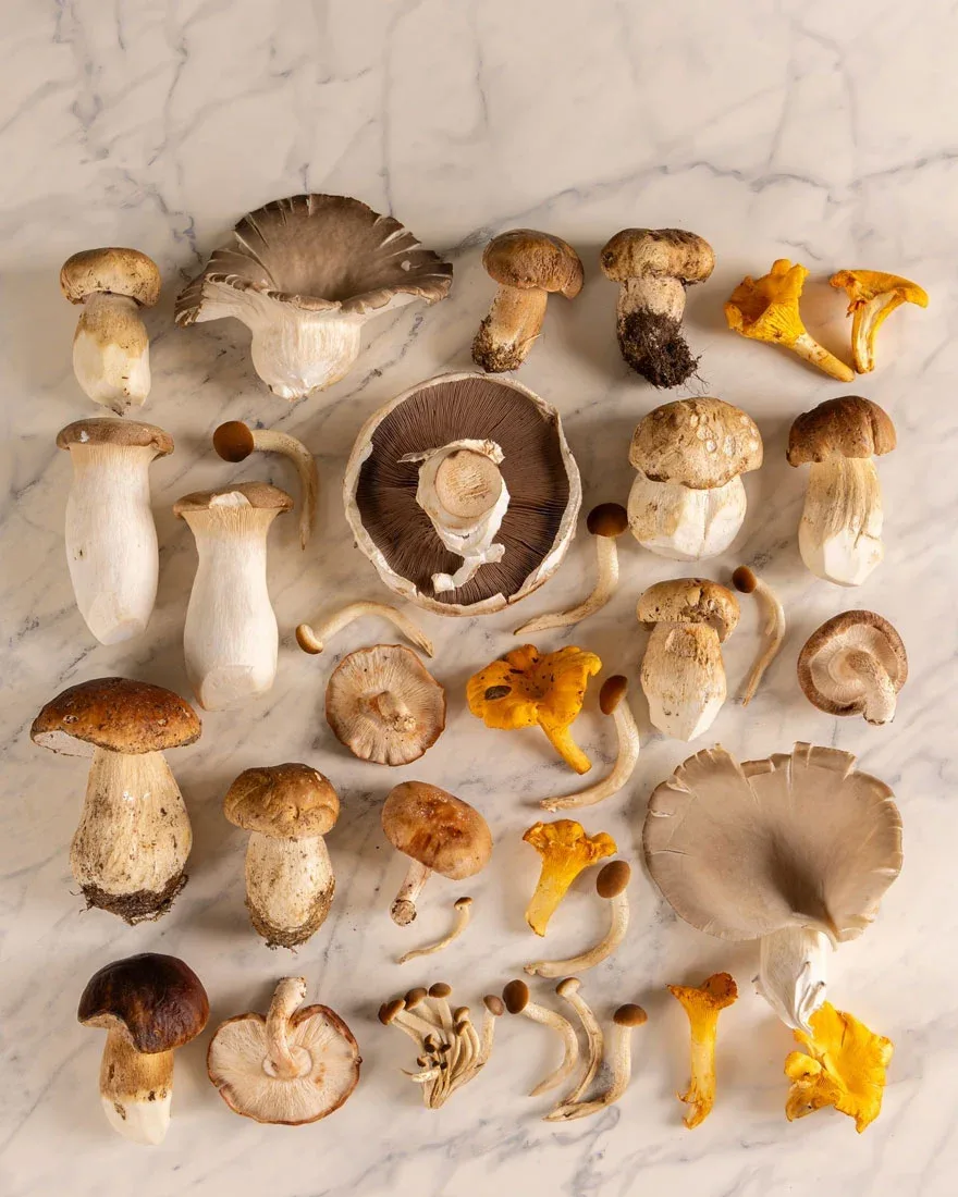 Funghi Porcini MIlano