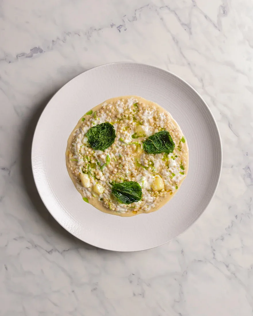 ristorante vegetariano risotto verza