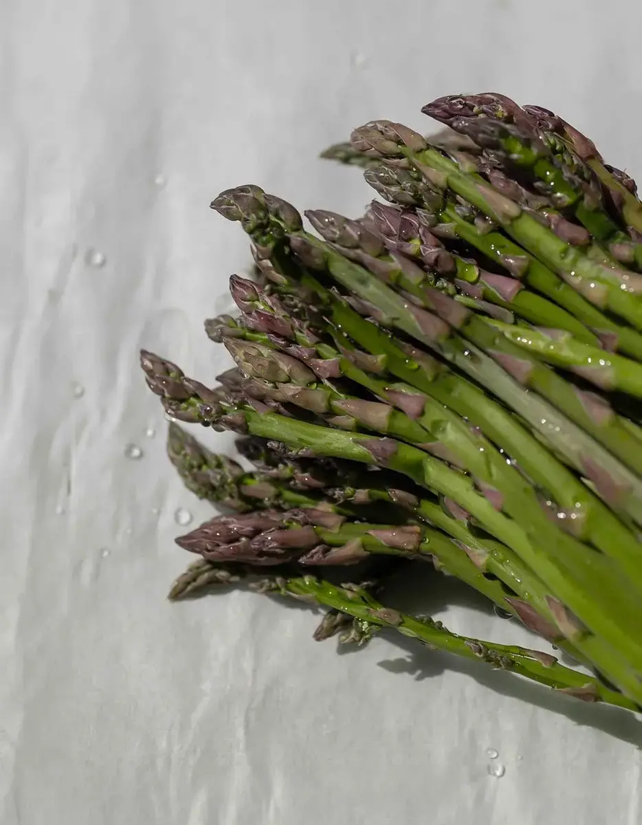 The world of asparagus