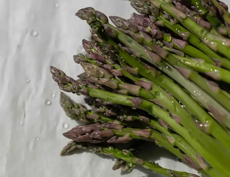 The world of asparagus