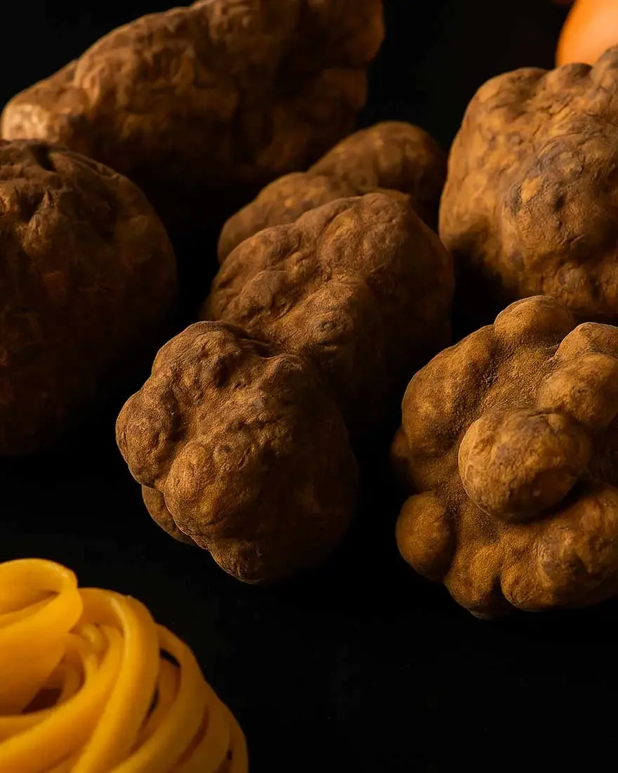Scent of Truffle